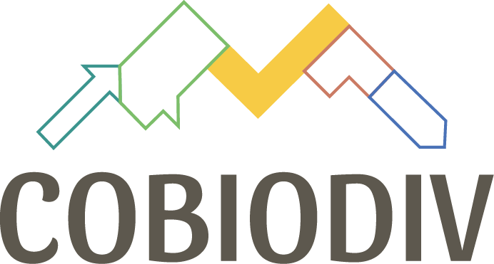 logo cobiodiv