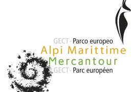Logo GECT
