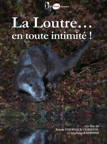 La loutre... en tout intimité_Saint-Sauveur-sur-Tinée