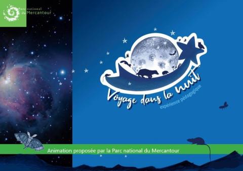 Animaux nocturnes - Animaux nocturnes