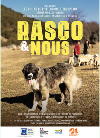 Rasco et nous - Au voisinage des chiens de protection des troupeaux_Guillaumes
