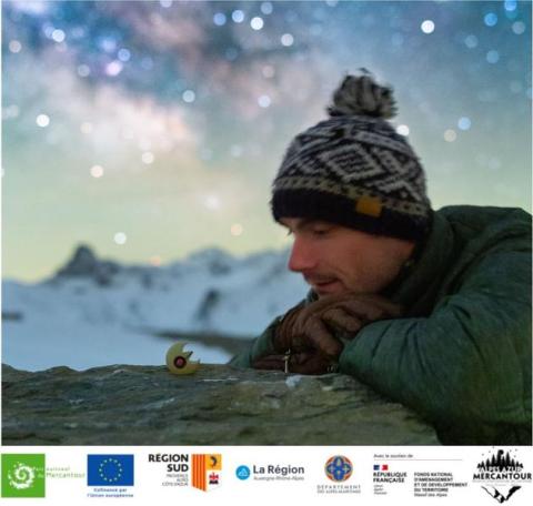 Exposition "Fleurs sous les étoiles" du Parc national du Mercantour_Colmars - Fleurs étoilées