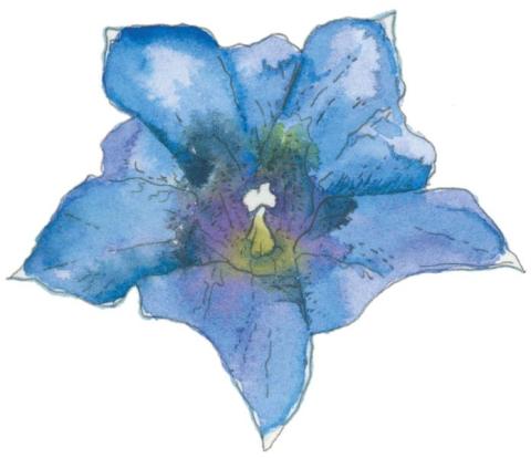 Atelier de dessin et aquarelle pour enfants_Saint-Étienne-de-Tinée