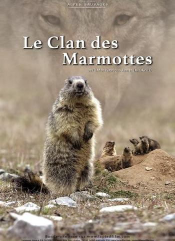 Le clan des marmottes_Saint-Sauveur-sur-Tinée
