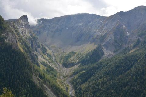 Conférence : Histoire de la forêt de la Tellière_Uvernet-Fours