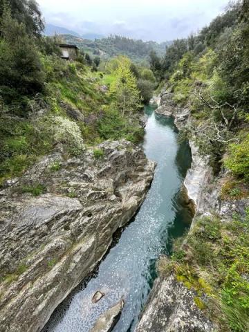 Sur les traces de la loutre : sortie en bord de rivière_Sospel - Rémy Masséglia