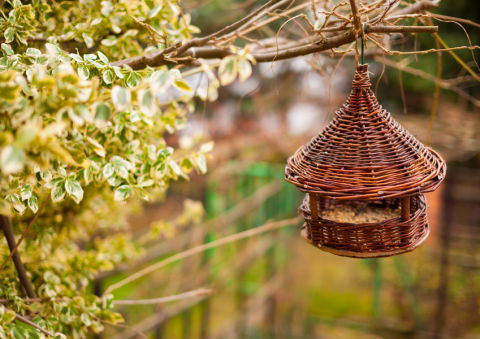 Atelier Vannerie Sauvage : réalisez votre mangeoire pour oiseaux_Tende
