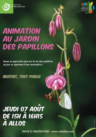 Animation au jardin des papillons_Allos - Animation au jardin des papillons_Allos