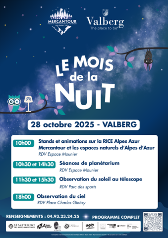 Affiche_Mois de la Nuit 2025_Valberg - Affiche_Mois de la Nuit 2025_Valberg