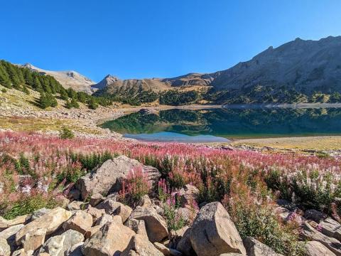 Biodiversité : connaître pour protéger_Allos - Lac d'Allos en été