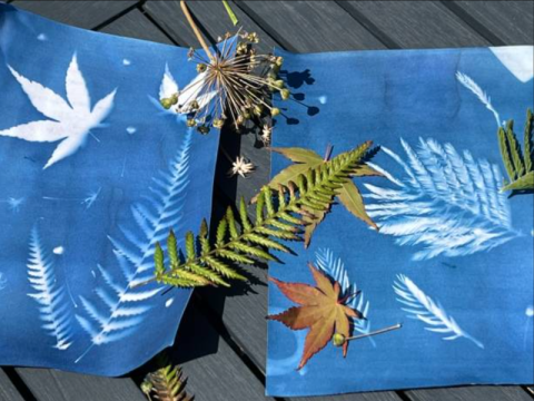 Atelier Cyanotypes_Tende - Atelier Cyanotypes