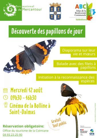 Découverte des papillons_Valdeblore