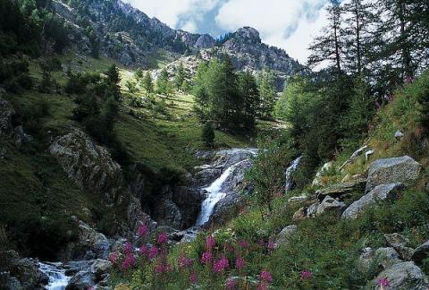 Découverte du Haut-Boréon_Saint-Martin-Vésubie - Vallon du Boréon