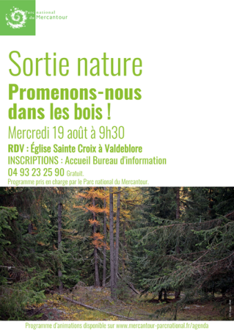 Promenons-nous dans les bois !_Valdeblore