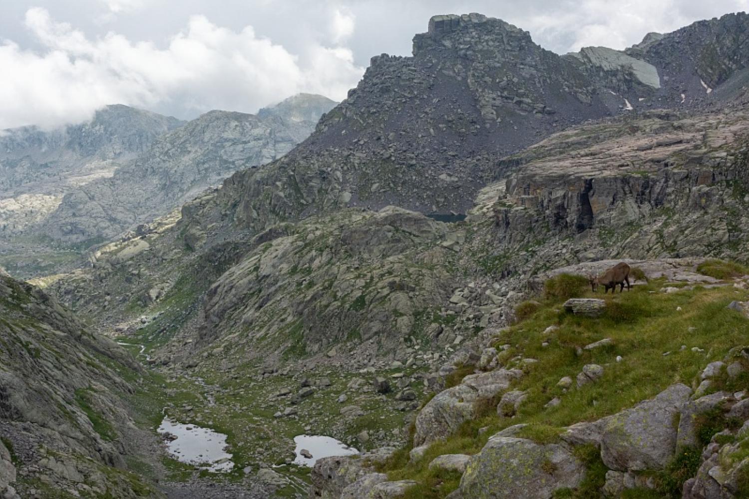 La vallée des Merveilles © M. Ancely / PnM