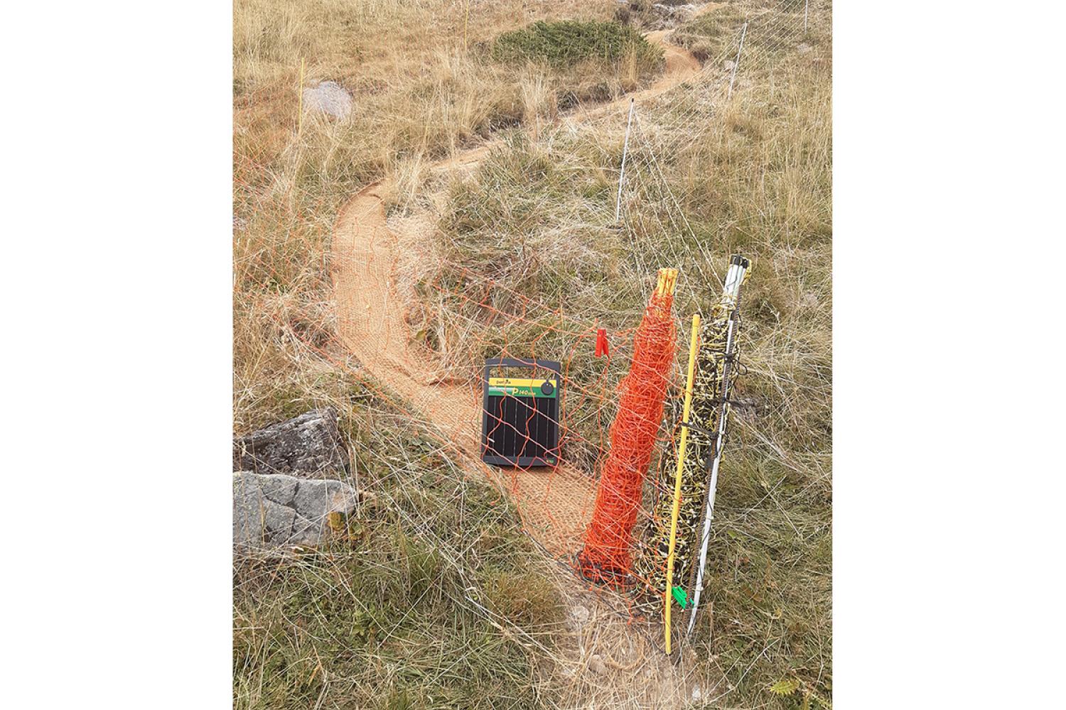 Le filet est protégé par une clôture électrifiée afin que les moutons et la faune sauvage ne viennent pas se prendre les pattes dedans et que les randonneurs ne se jettent pas sur ce « beau tapis » ;-) © B. Gineste / PnM