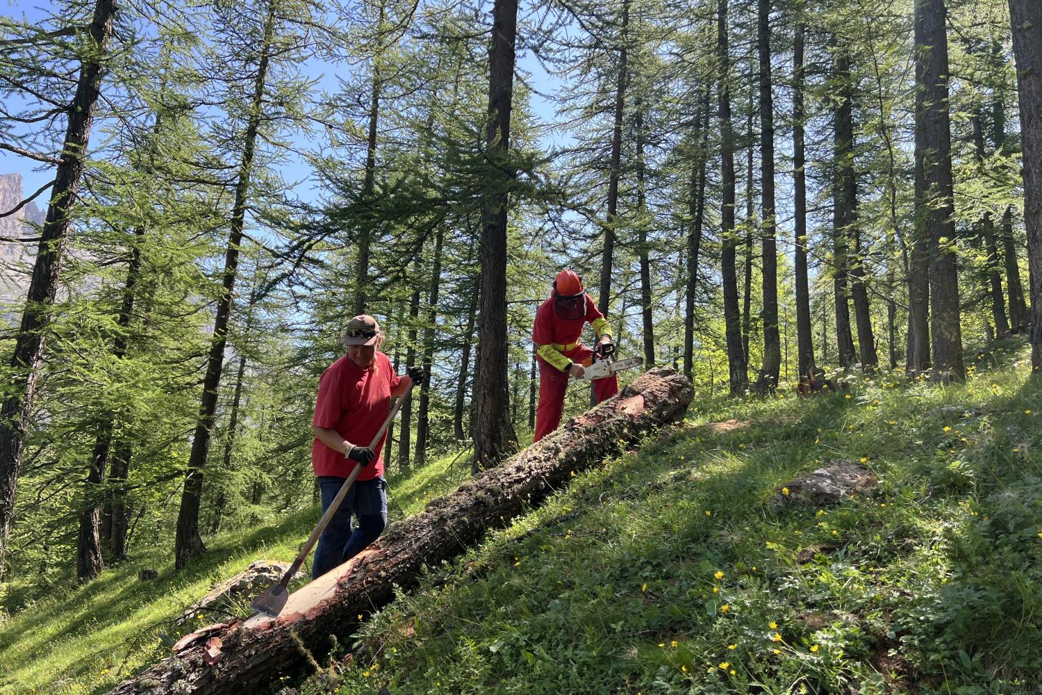 Une formation sentier pour 15 agents du Parc © J. Chaudet / PnM