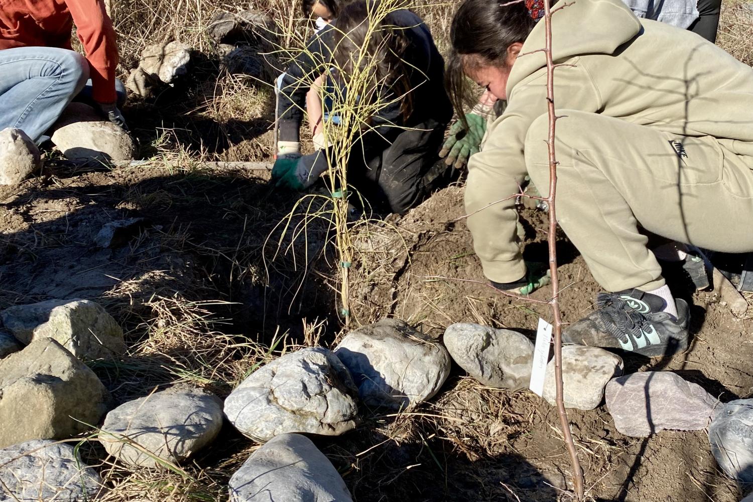 ©Emmanuel GASTAUD/PnM