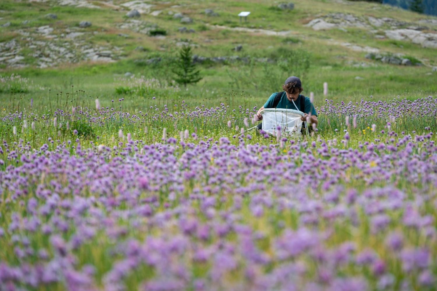 Explor'Nature à Allos © M. Ancely / PnM