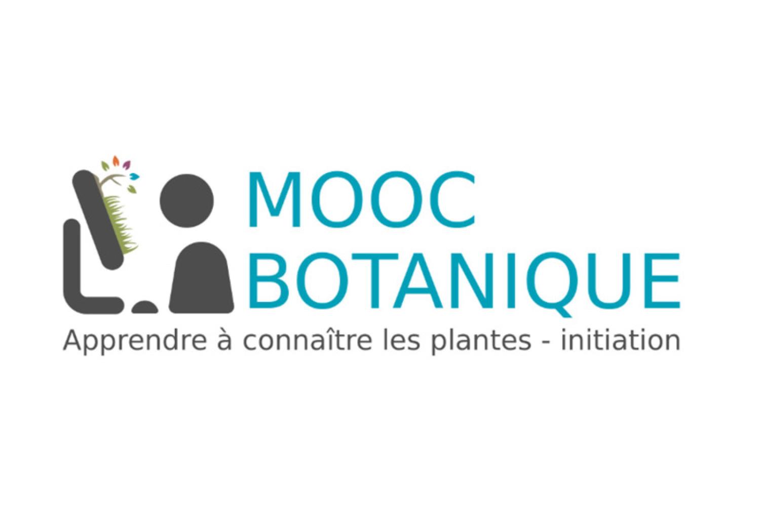 mooc-botanique-800px.jpg