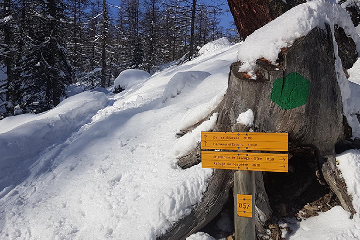 sur-le-chemin-en-allant-vers-le-col-de-la-braisse-800px.jpg