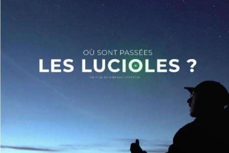 Où sont passées les lucioles ?_Roure