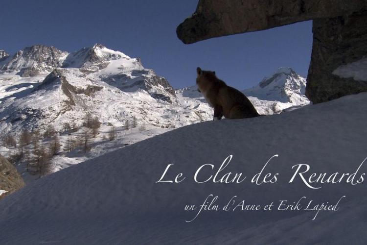 Le clan des renards - Le clan des renards