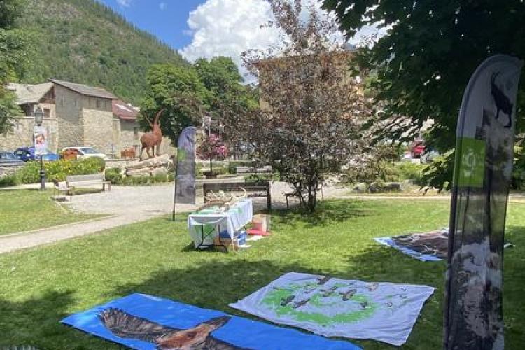 Atelier naturaliste du Parc national du Mercantour - Atelier naturaliste du Parc national du Mercantour