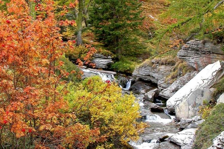 Rivière