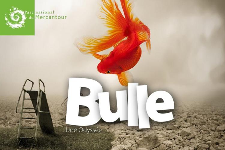 Bulle - Bulle