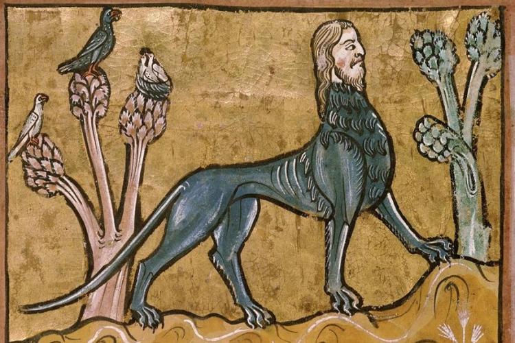 Conférence : Bestiaire imaginaire, chimères et légendes de la faune des montagnes_Barcelonnette - Manticore, Bestiaire du 13e siècle, Rochester