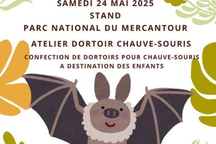Stand du Parc national du Mercantour et Atelier dortoirs pour chauve-souris_Saint-Martin-Vésubie