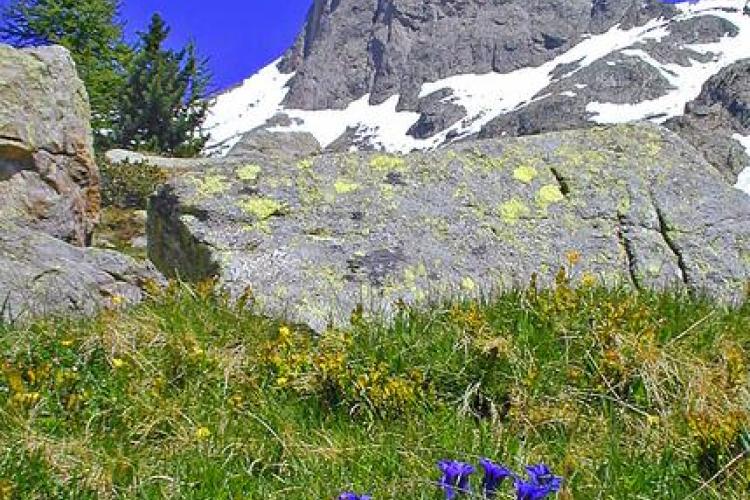Le  Mercantour 70 ans de protection de la nature raconté par le plus ancien un garde moniteur en service_Saint-Martin-Vésubie