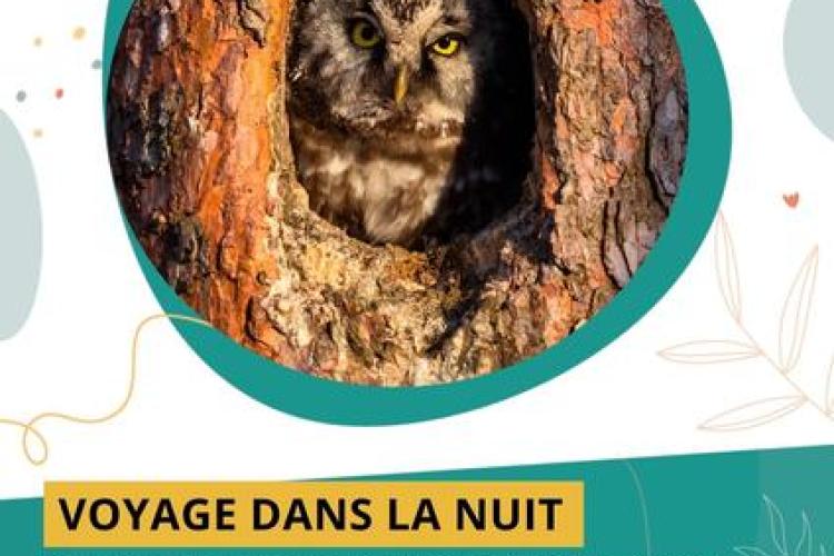 Voyages dans la nuit_Saint-Martin-Vésubie