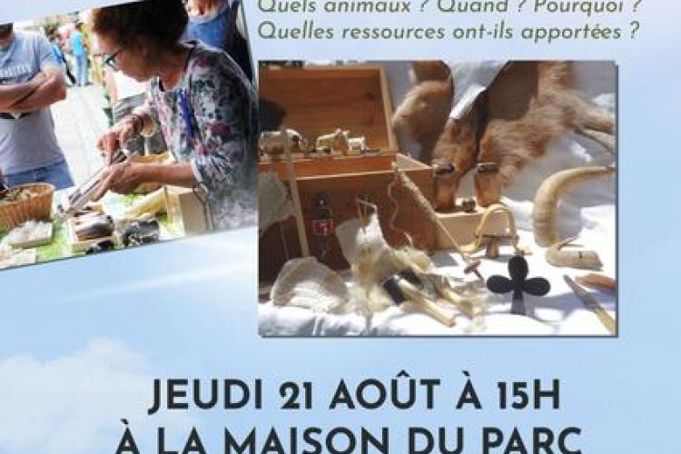 Atelier animé : pastoralisme et domestication_Tende