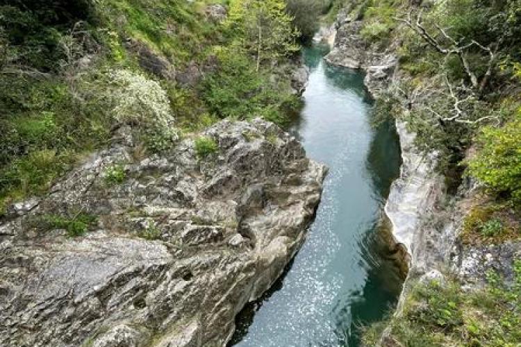 Sur les traces de la loutre : sortie en bord de rivière_Sospel - Rémy Masséglia