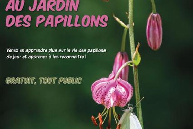 Animation au jardin des papillons_Allos - Animation au jardin des papillons_Allos