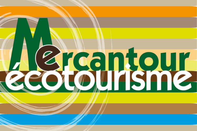 LOGO AME