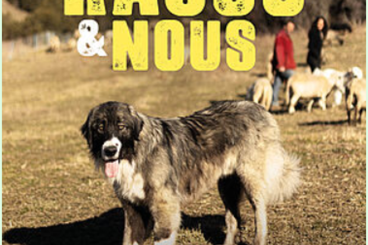 Rasco et nous - Au voisinage des chiens de protection des troupeau_Guillaumes