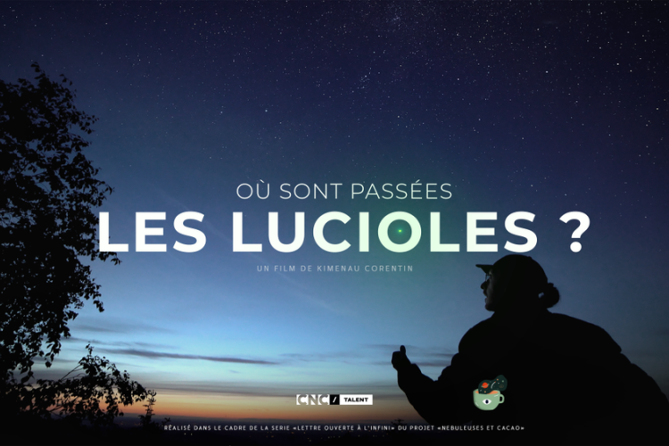 Où sont passées les lucioles_Péone