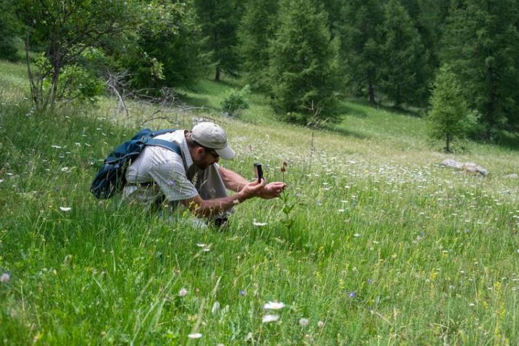 Inventaire de la biodiversité_Valberg