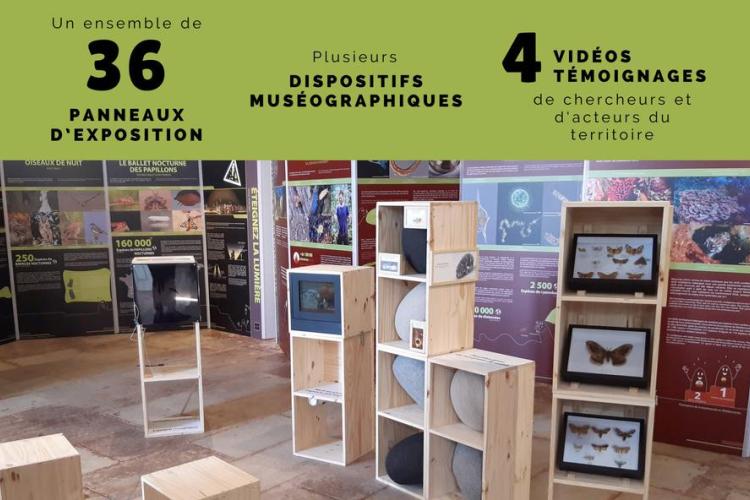 Expo "Coup de Projecteur sur la Biodiv" - Expo Biodiv invisible