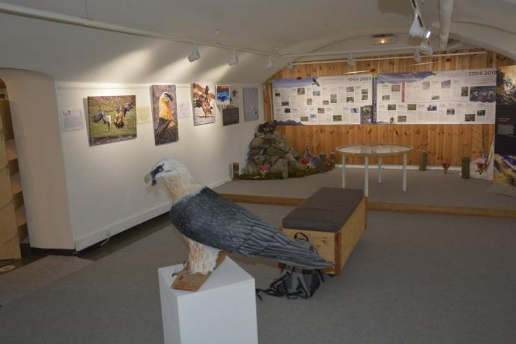 Salle Exposition Estivale Sapiniere