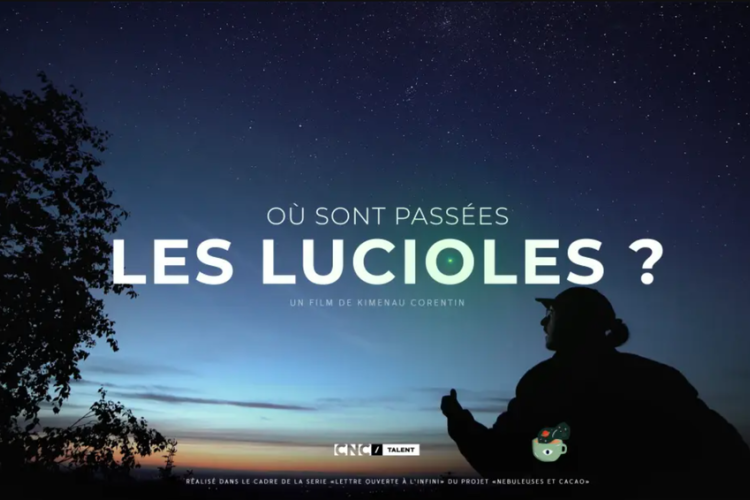 Soirée ciné nature "Où sont passées les lucioles ?"_Moulinet - Soirée ciné nature "Où sont passées les lucioles ?"