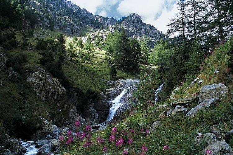 D&eacute;couverte du Haut-Bor&eacute;on_Saint-Martin-V&eacute;subie - Vallon du Bor&eacute;on