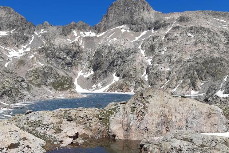Rencontre avec un garde : lumières sur le Parc national du Mercantour_Belvédère - Vallon de la Haute Gordolasque