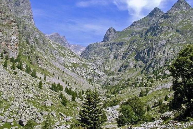 L'histoire du Mercantour de la R&eacute;serve royale de chasse au Parc national_Saint-&Eacute;tienne-de-Tin&eacute;e - Pr&egrave;s du pont du Countet dans la vall&eacute;e de la Gordolasque.
