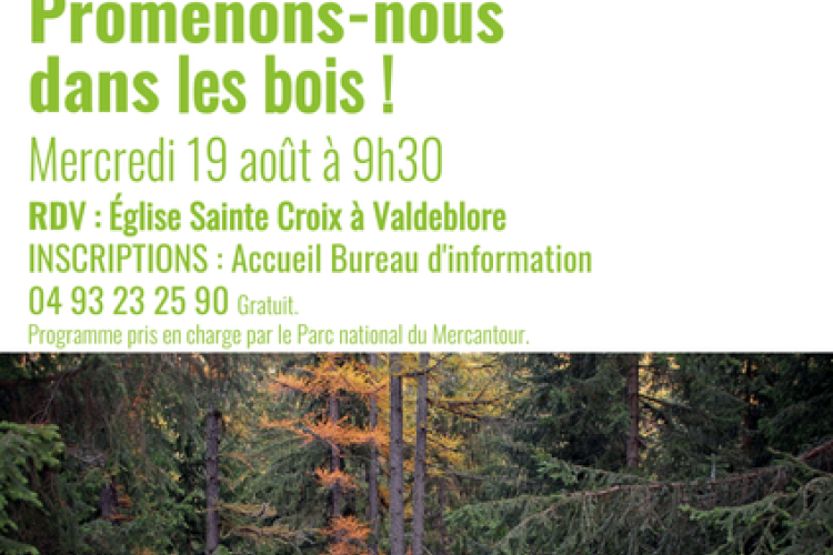 Promenons-nous dans les bois !_Valdeblore