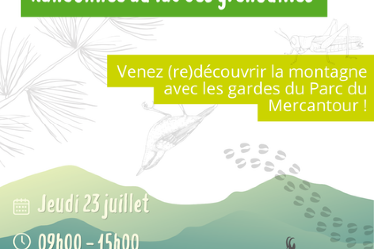 [ABC]Affiche lac des grenouilles.png