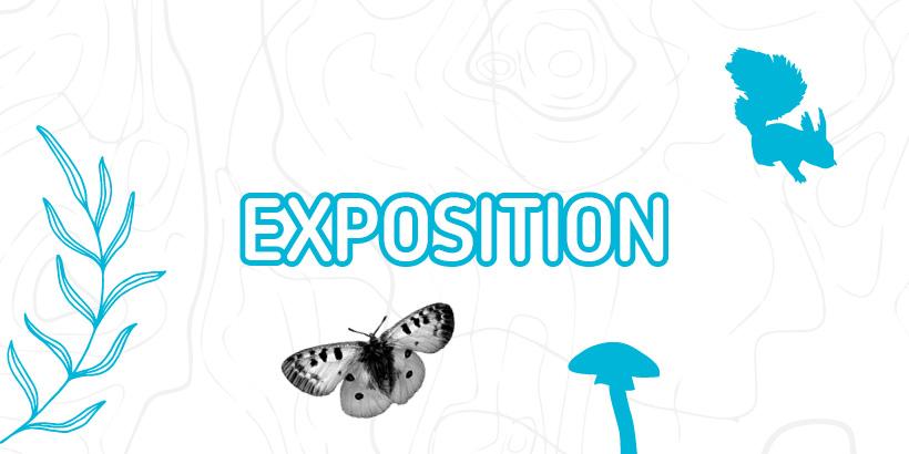 exposition.jpg